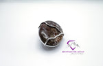 Oval Plume Agate Pendant Handmade